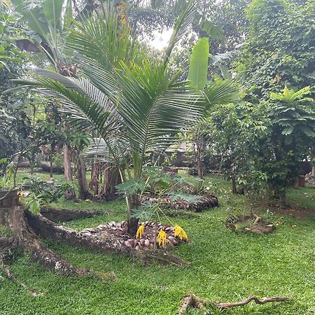 Thomasz Lodge Kandy Eksteriør bilde