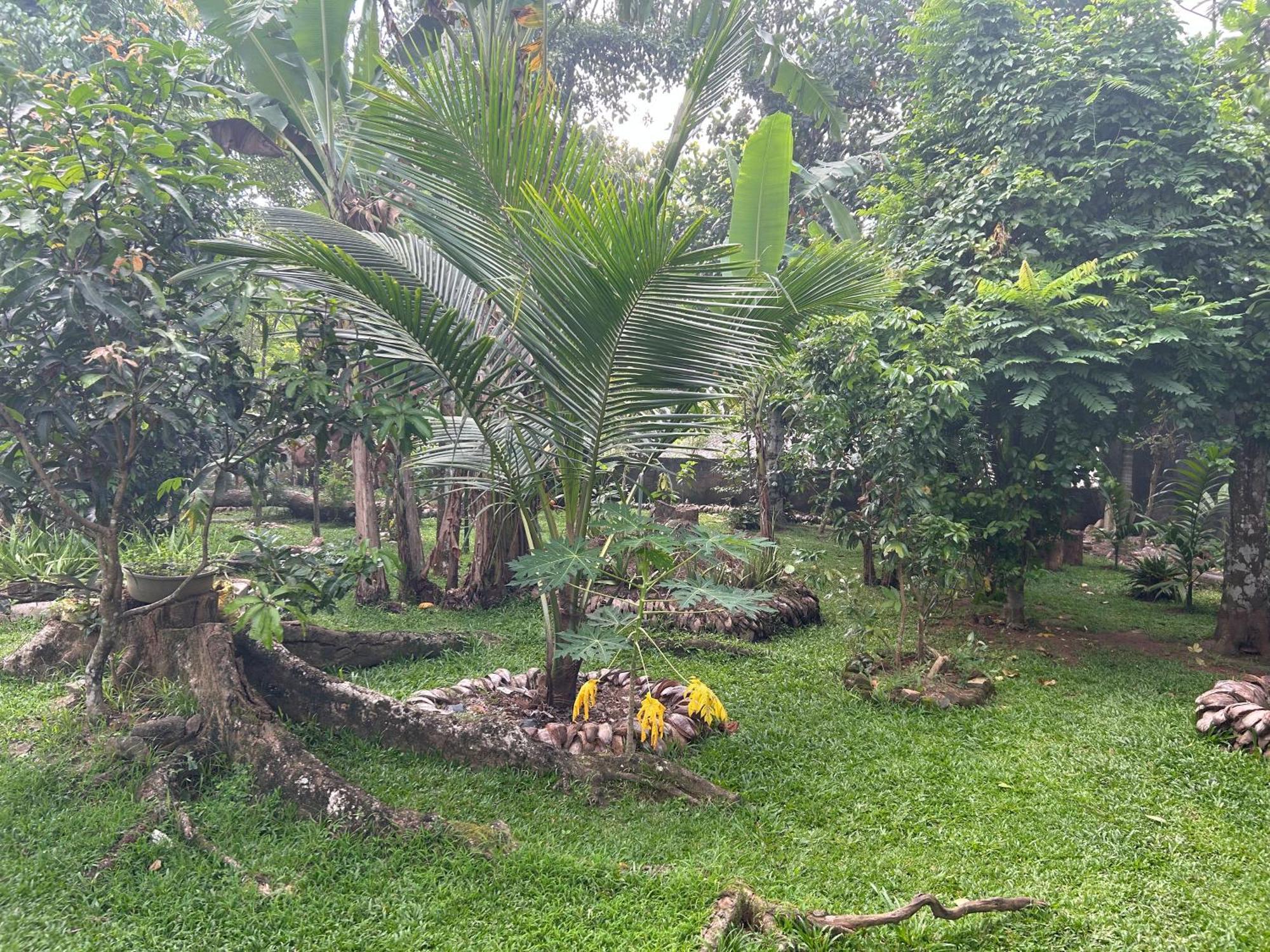 Thomasz Lodge Kandy Eksteriør bilde