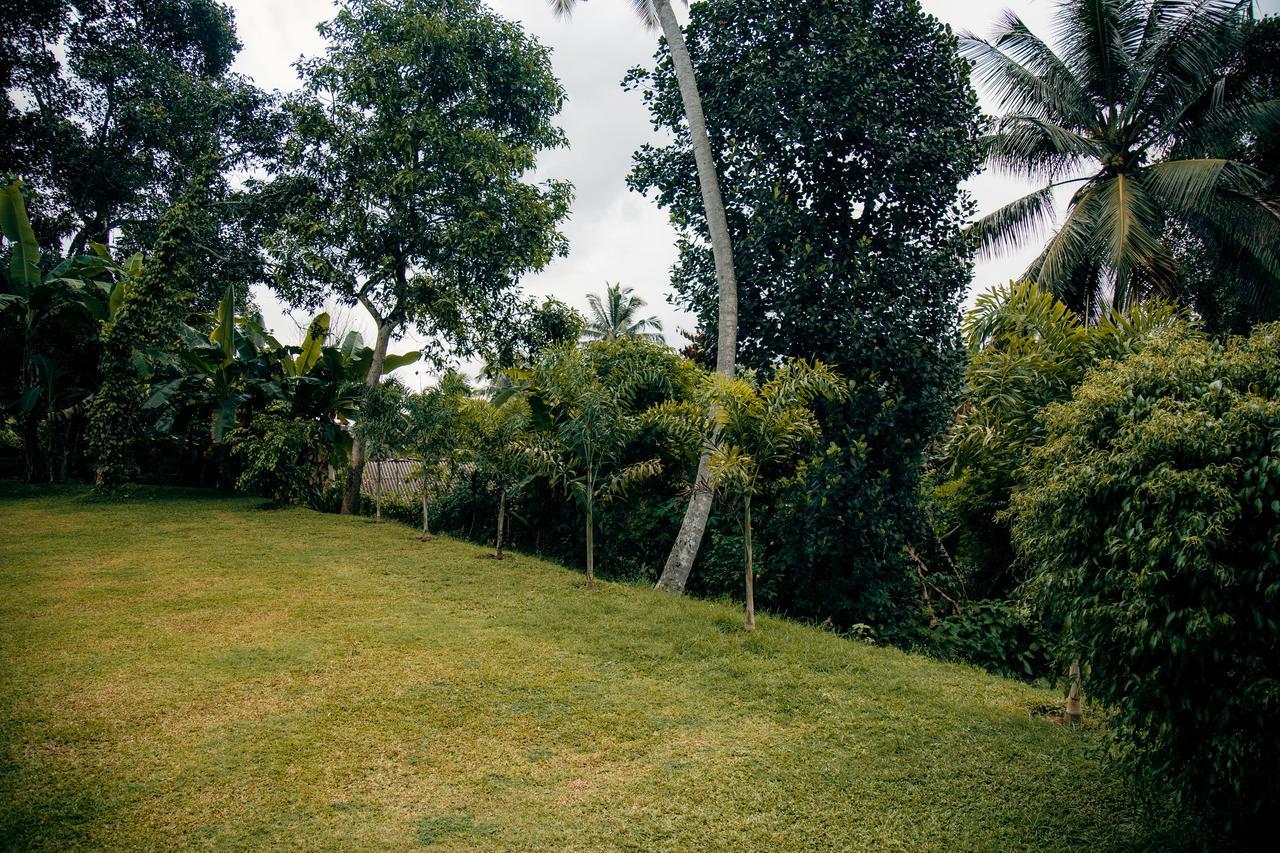 Thomasz Lodge Kandy Eksteriør bilde